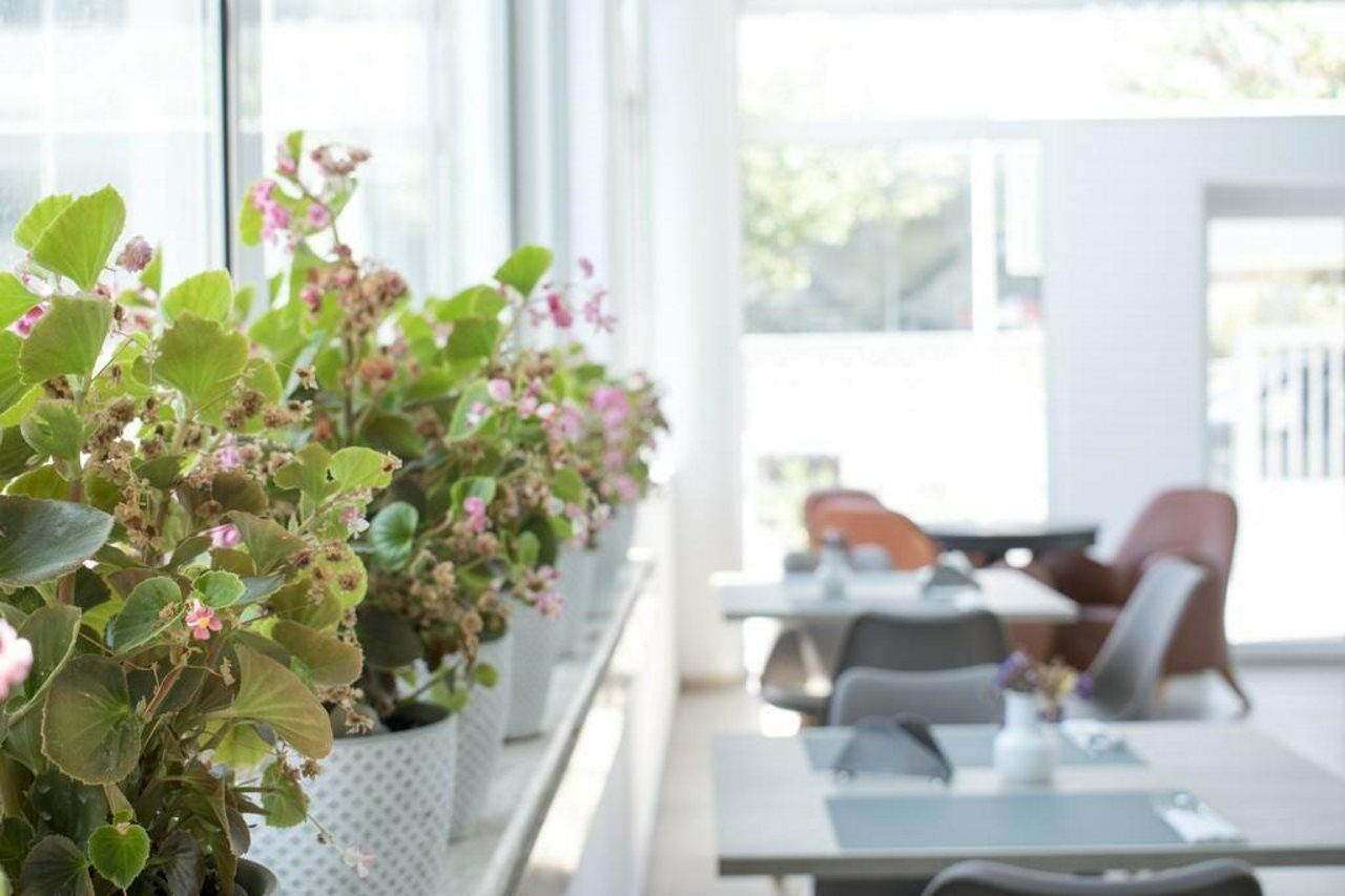 Anastasia Hotel & Apartments Miasto Kos Zewnętrze zdjęcie